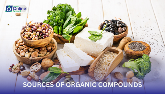 Lesson 04: Sources of Organic Compounds